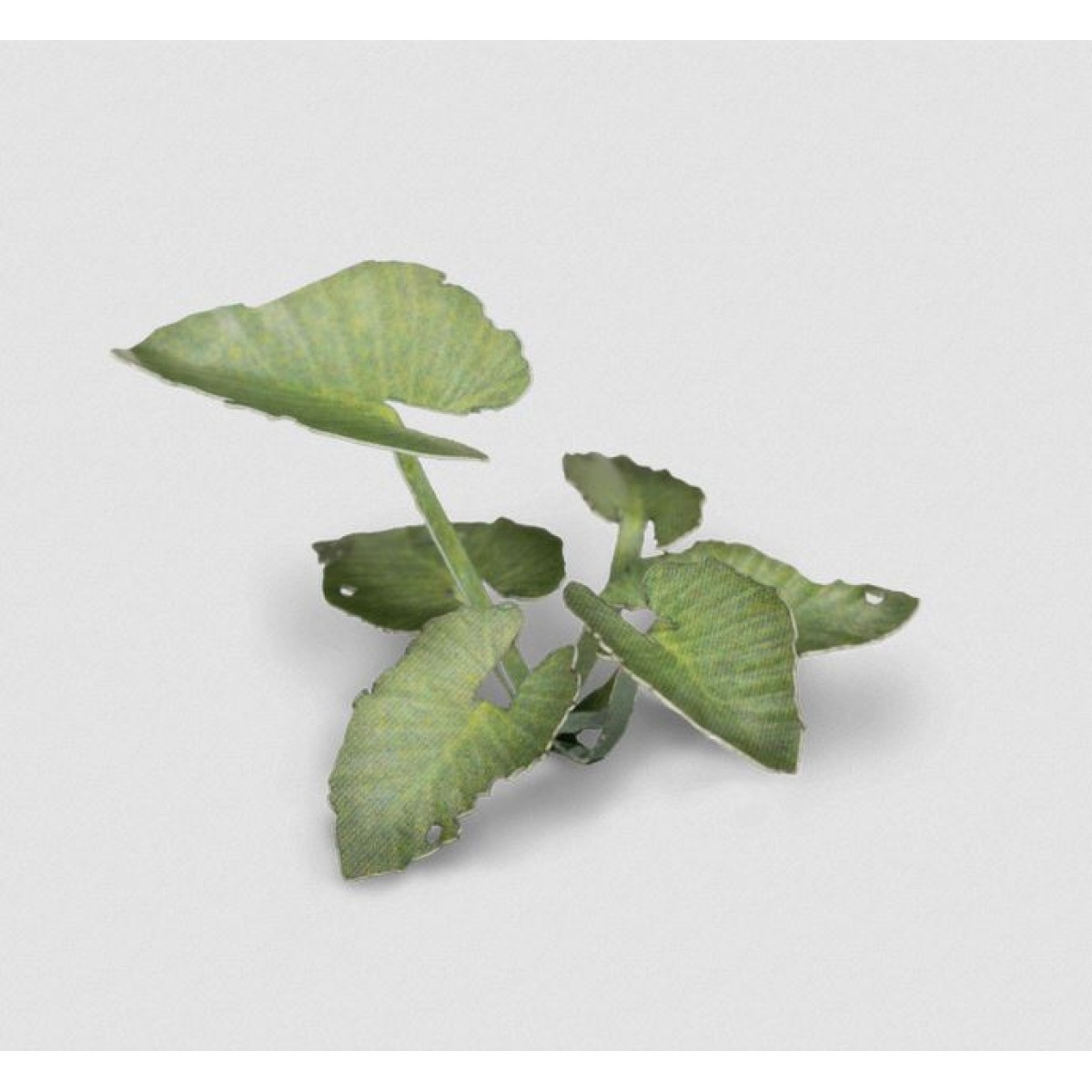 Gamer's Grass Laser Cut Plants Elephant Ear